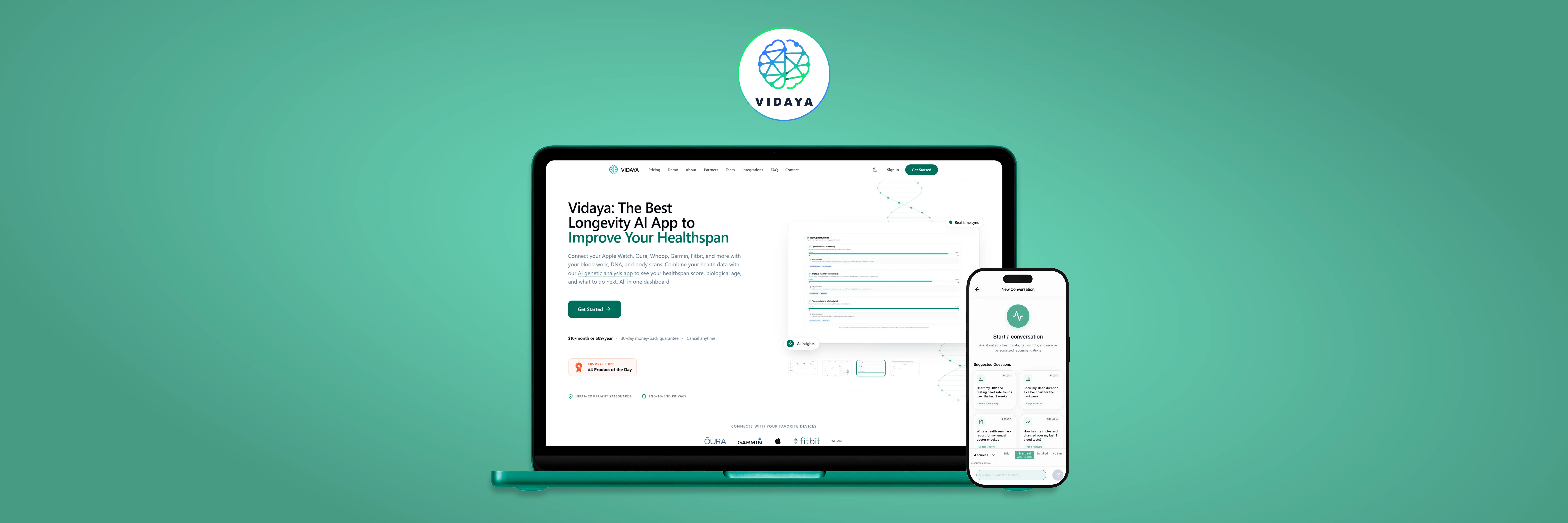 Vidaya project preview